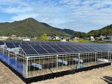 【実績紹介】岡山の農家さんがソーラーハウスを導入しました！